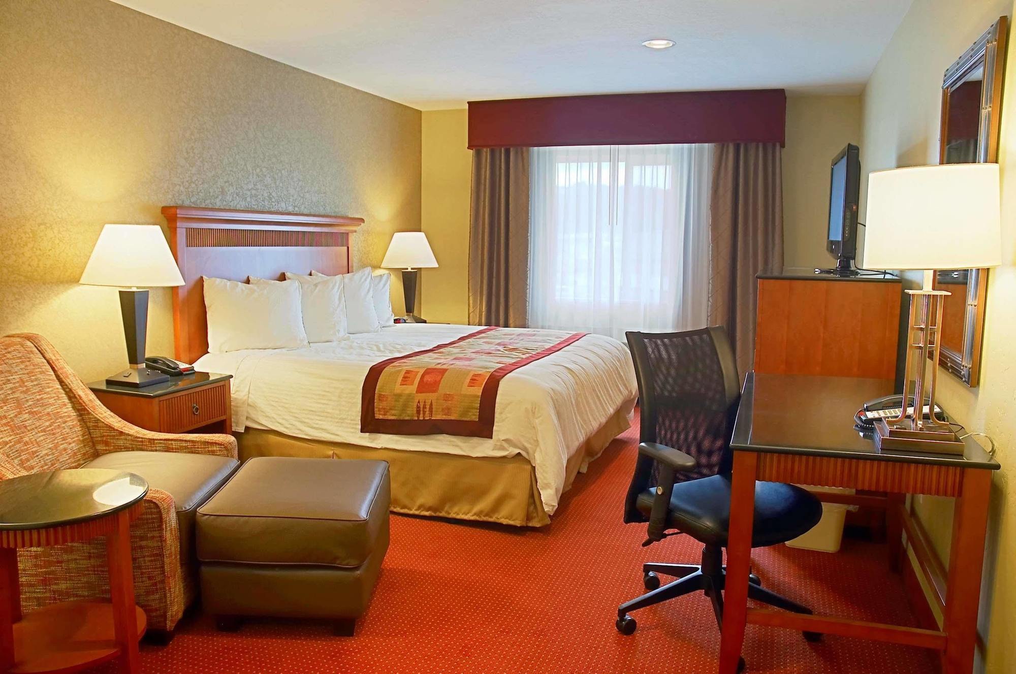 Best Western Plus Canyon Pines Ogden Værelse billede